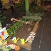 agricoltura per il sociale